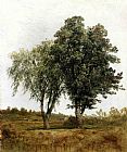 John Frederick Kensett Canvas Paintings - A Study of Trees